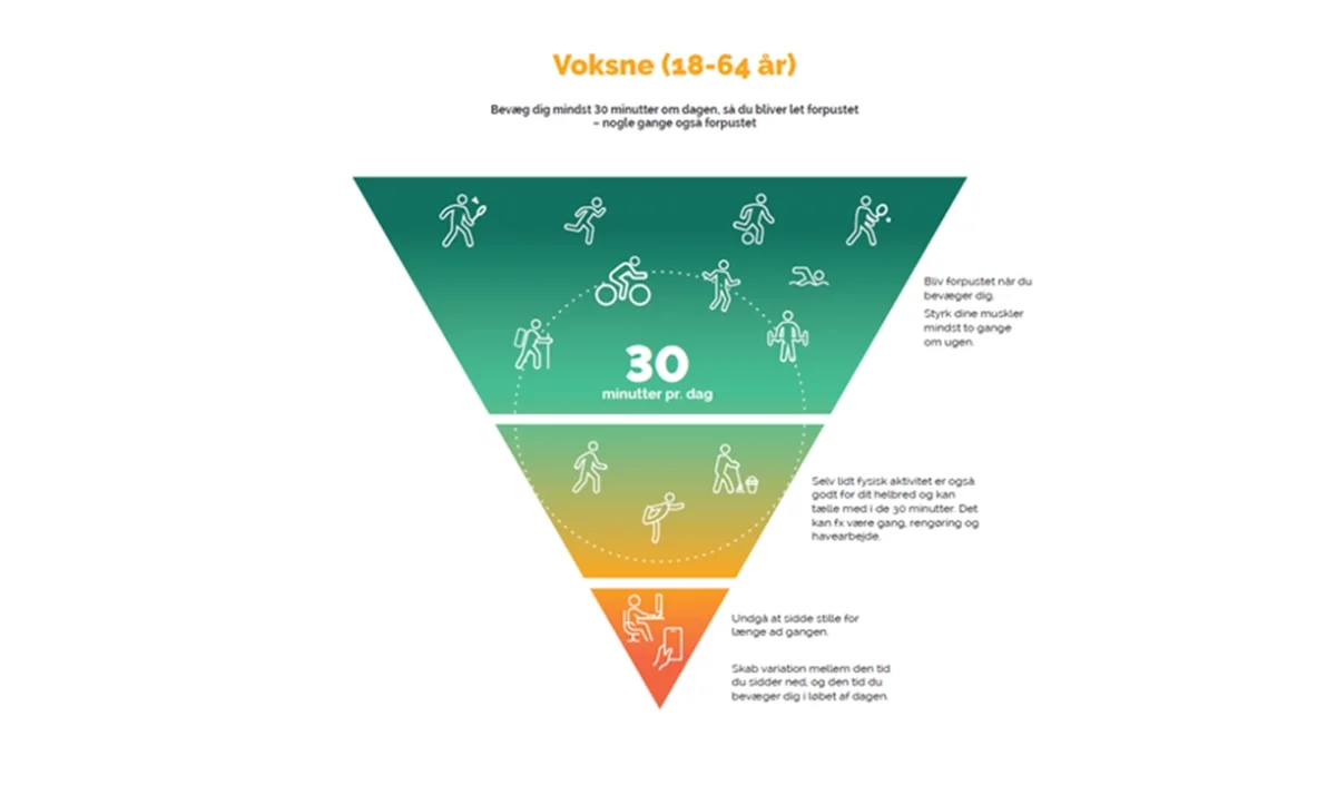 Sundhedsstyrelsens Anbefalinger Om Motion 2023