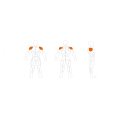 Relax Shoulder Press PL1203 thumbnail #1