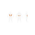 Relax Torso Rotation PL1204 thumbnail #1
