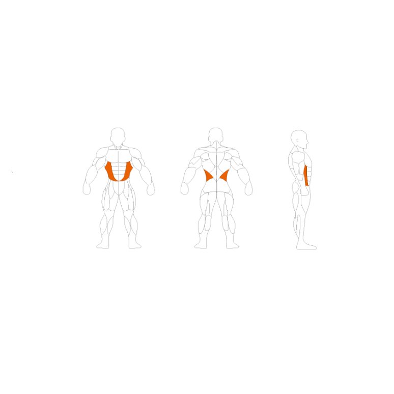 Relax Torso Rotation PL1204 #1