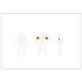 Relax Triceps Extention PL1208 thumbnail #1