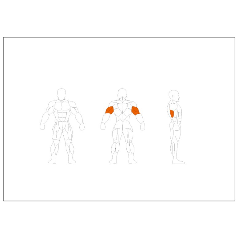 Relax Triceps Extention PL1208 #1