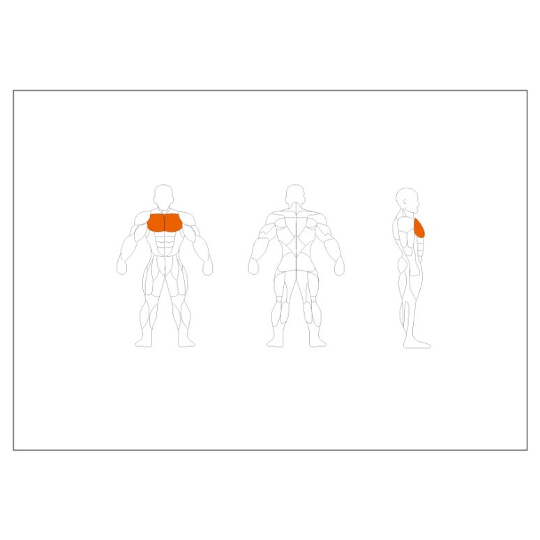 Relax Pectoral Fly PL1212 #1
