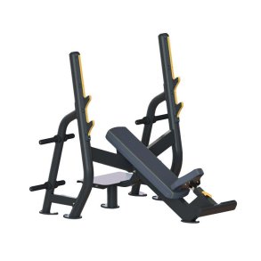 Relax Incline Bench PTT0210