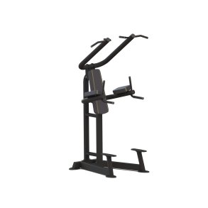 Relax Chin Up & Dip PTT0219