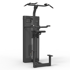 Relax Dip & Chin Assist - PC2014