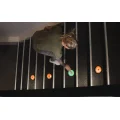 Push Puck thumbnail #2