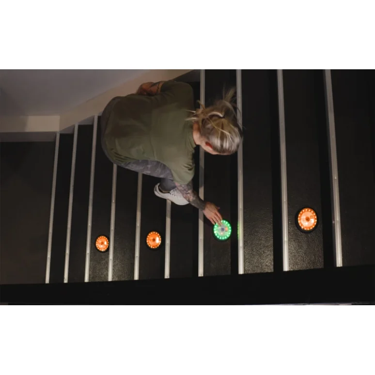 Push Puck #2